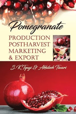 bokomslag Pomegranate