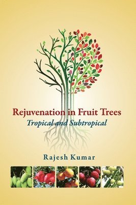 bokomslag Rejuvenation in Fruit Trees