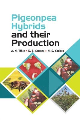 bokomslag Pigeonpea Hybrids and Their Production