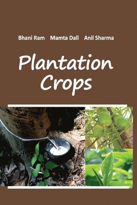 Plantation Crops 1