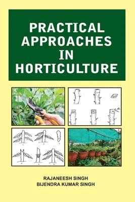 Rajaneesh Singh, Bijendra Kumar Singh - Practical Approaches in Horticulture, Häftad