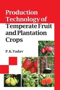 bokomslag Production Technology of Temperate Fruit and Plantation Crops