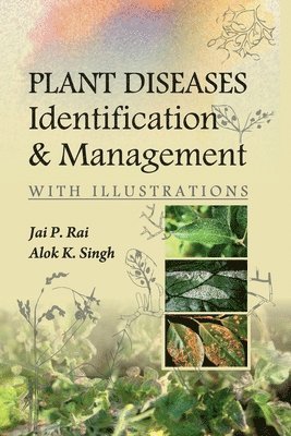bokomslag Plant Diseases