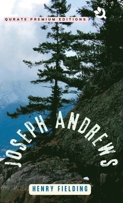 bokomslag Joseph Andrews