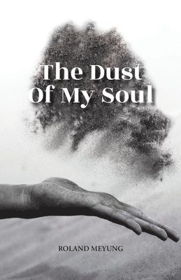 bokomslag The Dust Of My Soul