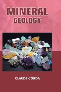 bokomslag Mineral Geology