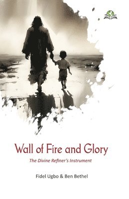 bokomslag Wall of Fire and Glory