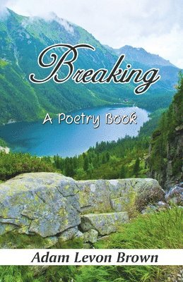 Adam Levon Brown - Breaking, Häftad