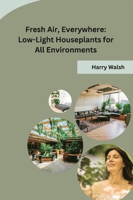 bokomslag Fresh Air, Everywhere: Low-Light Houseplants for All Environments