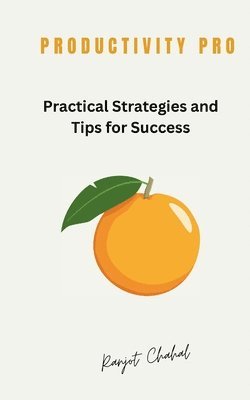 bokomslag Productivity Pro: Practical Strategies and Tips for Success