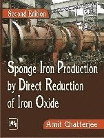 bokomslag Sponge Iron Production by Direct Reduction of Iron Oxide