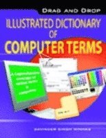 bokomslag Drag & Drop Illustrated Dictionary of Computer Terms