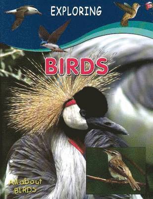 Sterling Publishers - Birds, Inbunden
