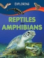 Sterling Publishers - Reptiles & Amphibians, Inbunden