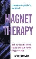 bokomslag Magnet Therapy