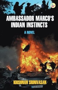 bokomslag Ambassador Marco's Indian Instincts