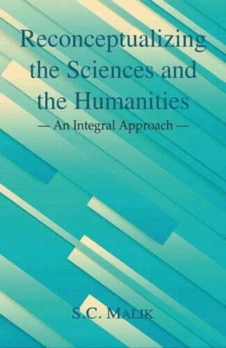 Reconceptualizing the Sciences and the Humanities, Inbunden