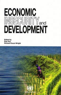 bokomslag Economic insecurity and development