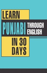 bokomslag Learn Punjabi Through English in 30 Days