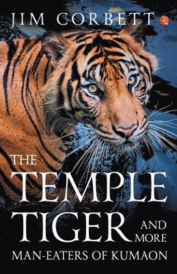 bokomslag Temple Tiger