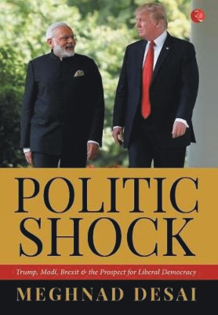 Meghnad Desai - Politicshock, Inbunden