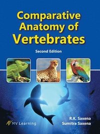 bokomslag Comparative Anatomy of Vertebrates