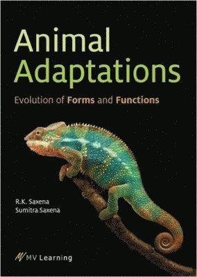 Animal Adaptations 1