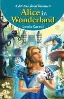 Sahil Gupta - Alice in Wonderland, Häftad