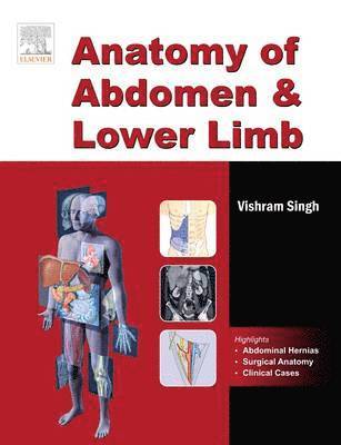 Vishram Singh - Anatomy of Abdomen and Lower Limb, Häftad