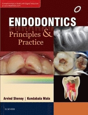 bokomslag Endodontics: Principles and Practice