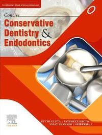 bokomslag Concise Conservative Dentistry and Endodontics