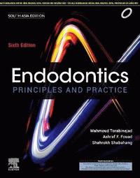 bokomslag Endodontics, 6e - South Asia Edition