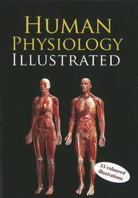 bokomslag Human Physiology Illustrated