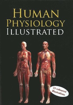 B Jain Publishing - Human Physiology Illustrated, Häftad