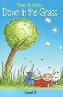 B Jain Publishing - Down in the Grass, Häftad