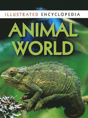 Pawanpreet Kaur - Animal World, Häftad