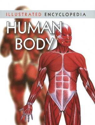 bokomslag Human Body