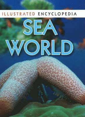Pawanpreet Kaur - Sea World, Häftad