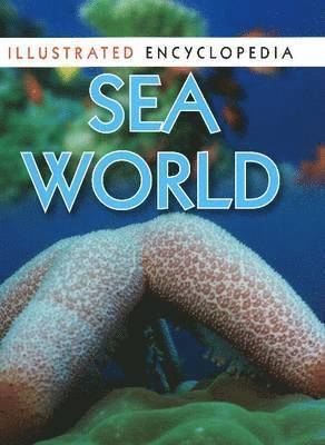 Sea World 1