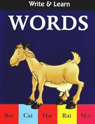 B Jain Publishing - Write & Learn Words, Häftad