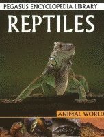 bokomslag Reptiles
