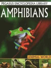 bokomslag Amphibians