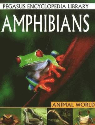 Amphibians 1