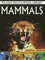 Mammals 1