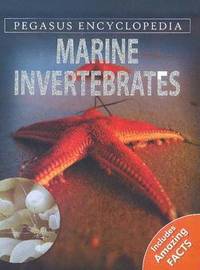 bokomslag Marine Invertebrates