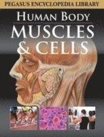 Pegasus - Muscular System, Inbunden