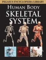 Skeletal System 1