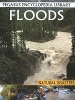 bokomslag Floods