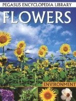 bokomslag Flowers