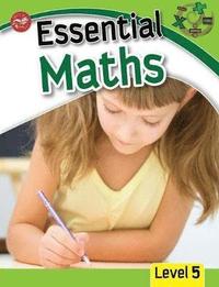bokomslag Essential Maths Level 5